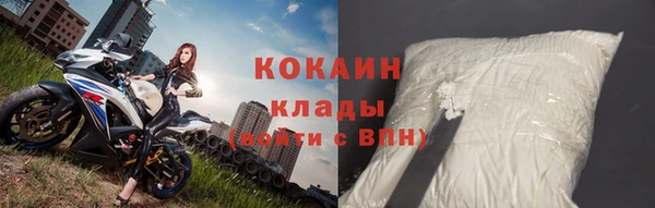 хмурый Арсеньев