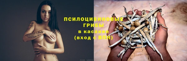 хмурый Арсеньев