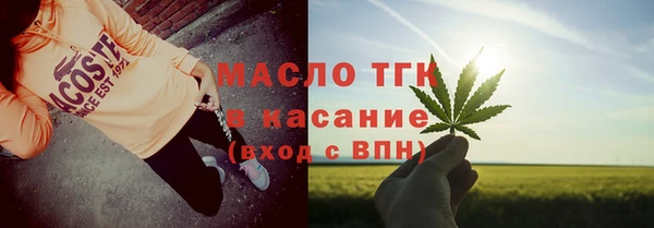 хмурый Арсеньев
