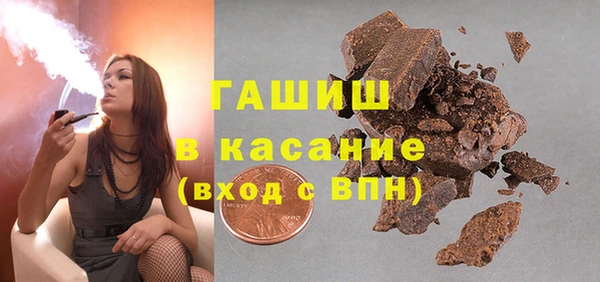 хмурый Арсеньев