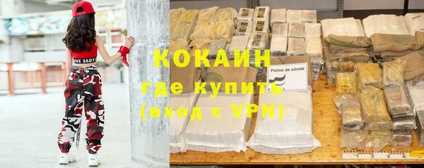 хмурый Арсеньев