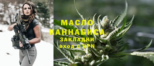 хмурый Арсеньев