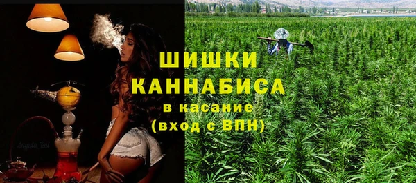 хмурый Арсеньев