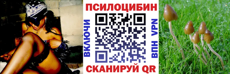 наркотики  Ртищево  Галлюциногенные грибы прущие грибы 