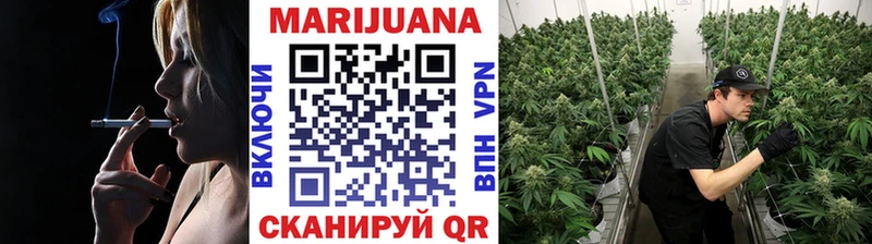 Шишки марихуана планчик  Ртищево 